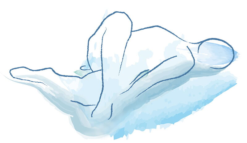 Illustration für die Website Feldenkrais-HumeCook