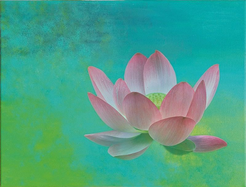 lotus, mixed media