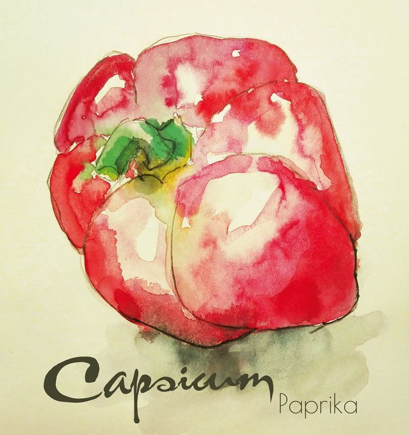 Aquarell kombiniert mit Text