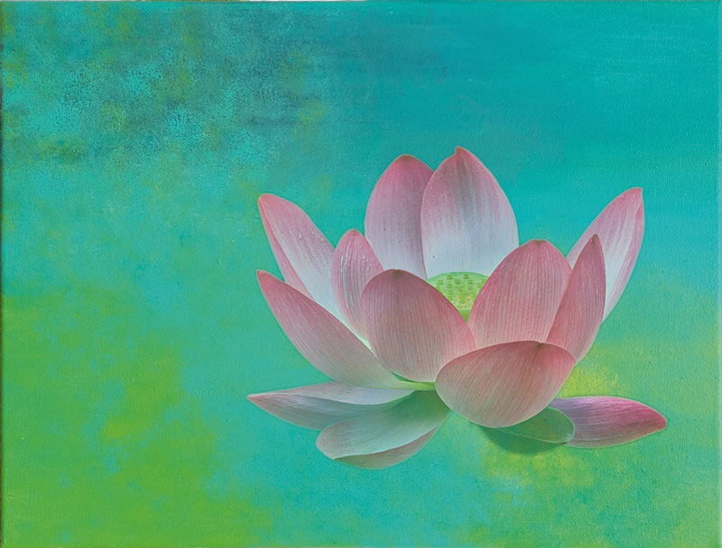 lotus, mixed media