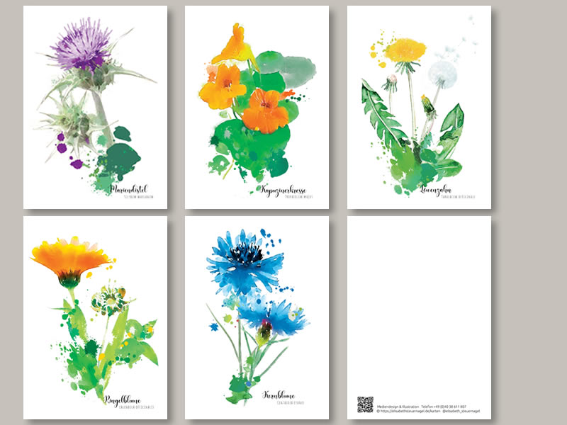 Diese Postkarten wurden von der Hamburger Grafik-Designerin und Illustratorin Elisabeth Steuernagel erarbeitet
