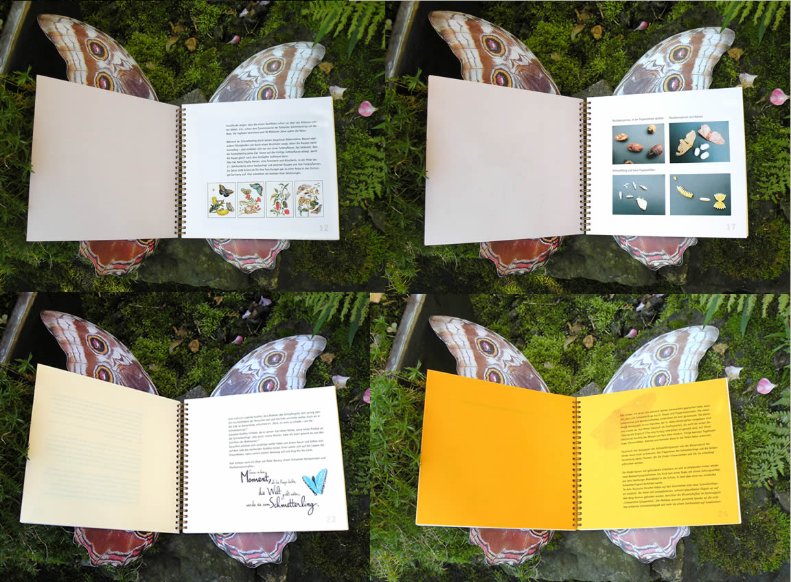 Innenseiten, Entwurf und Ausführung einer Jahresdokumentation erstellt von der Hamburger GrafikDesignerin Elisabeth Steuernagel